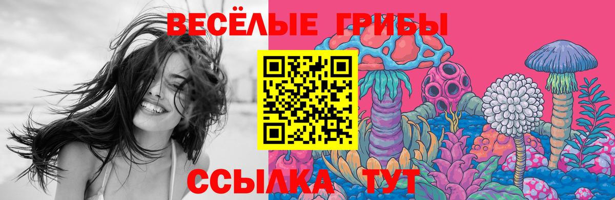 Псилоцибиновые грибы ЛСД Заволжье