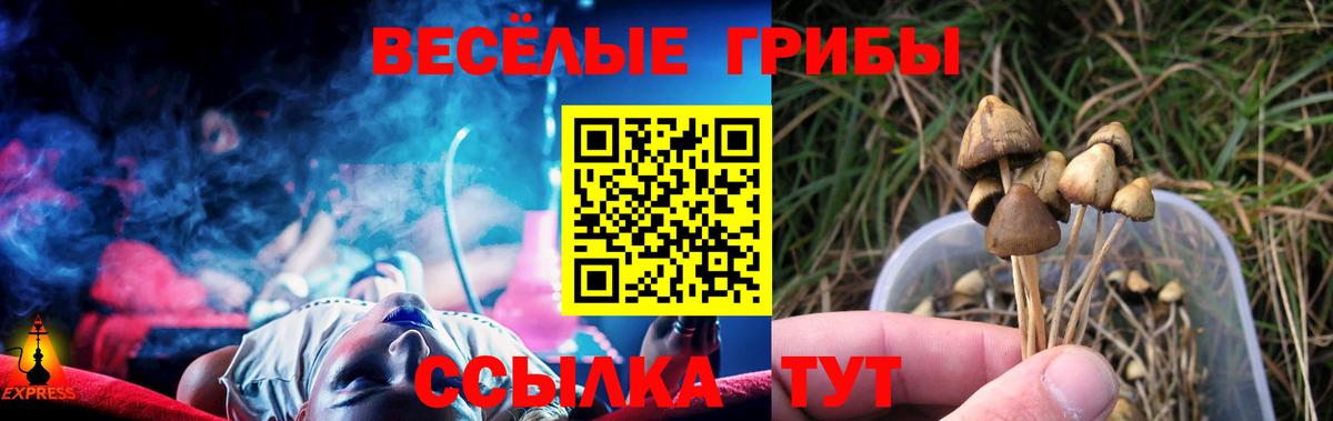 Галлюциногенные грибы Psilocybe  Вход с VPN  Заволжье  Галлюциногенные грибы GOLDEN TEACHER 